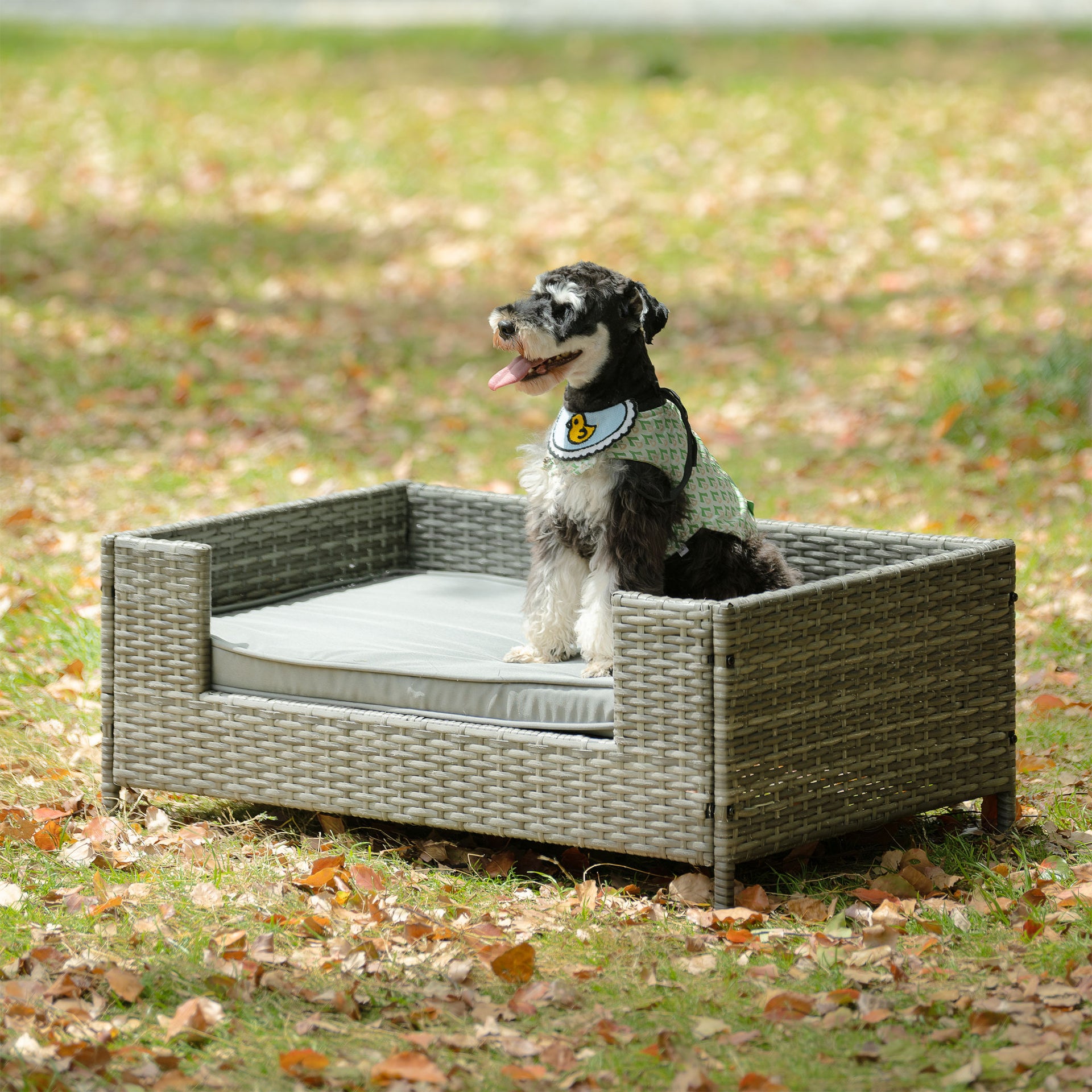 Raised PE Wicker Pet Bed With Cushion