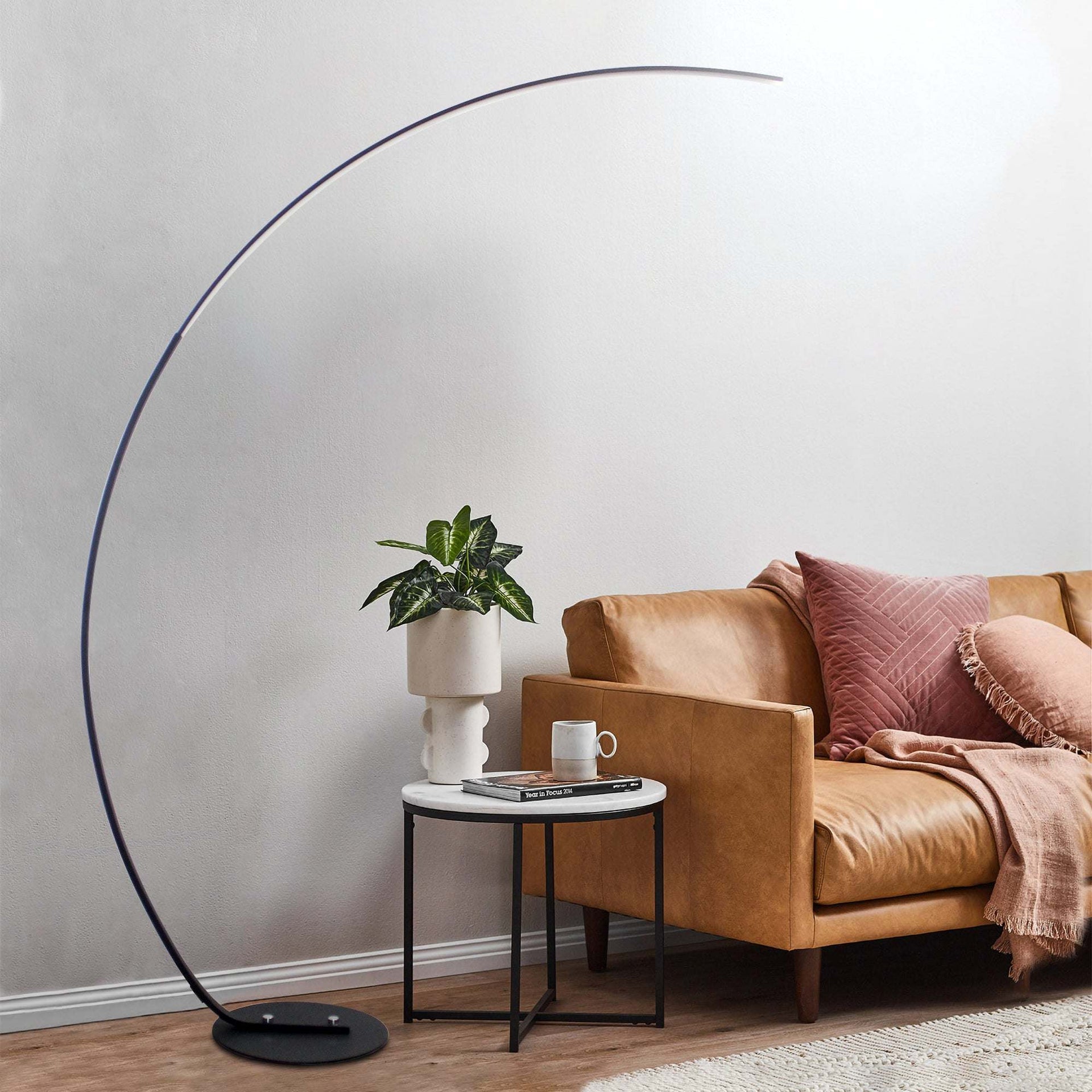 Modern Minimalist Curve Floor Lamp