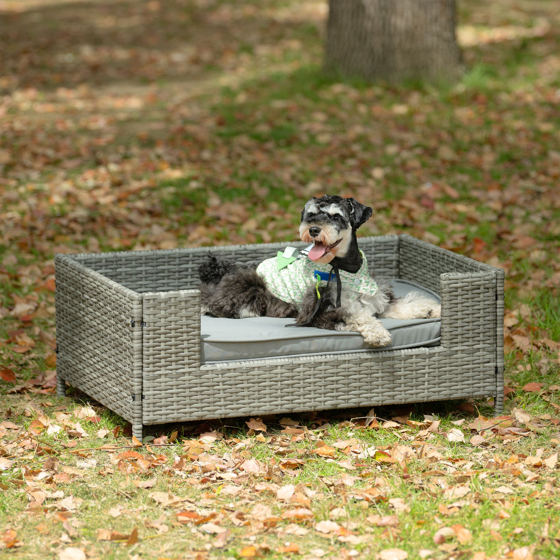 Raised PE Wicker Pet Bed With Cushion