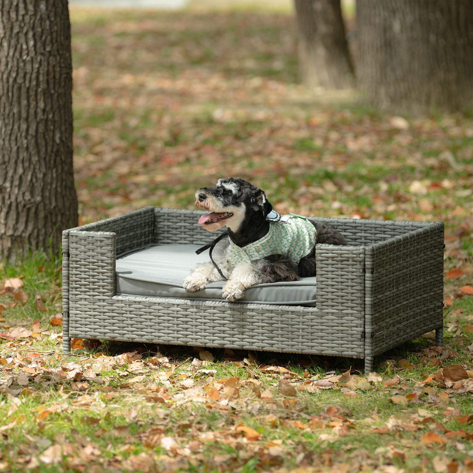 Raised PE Wicker Pet Bed With Cushion