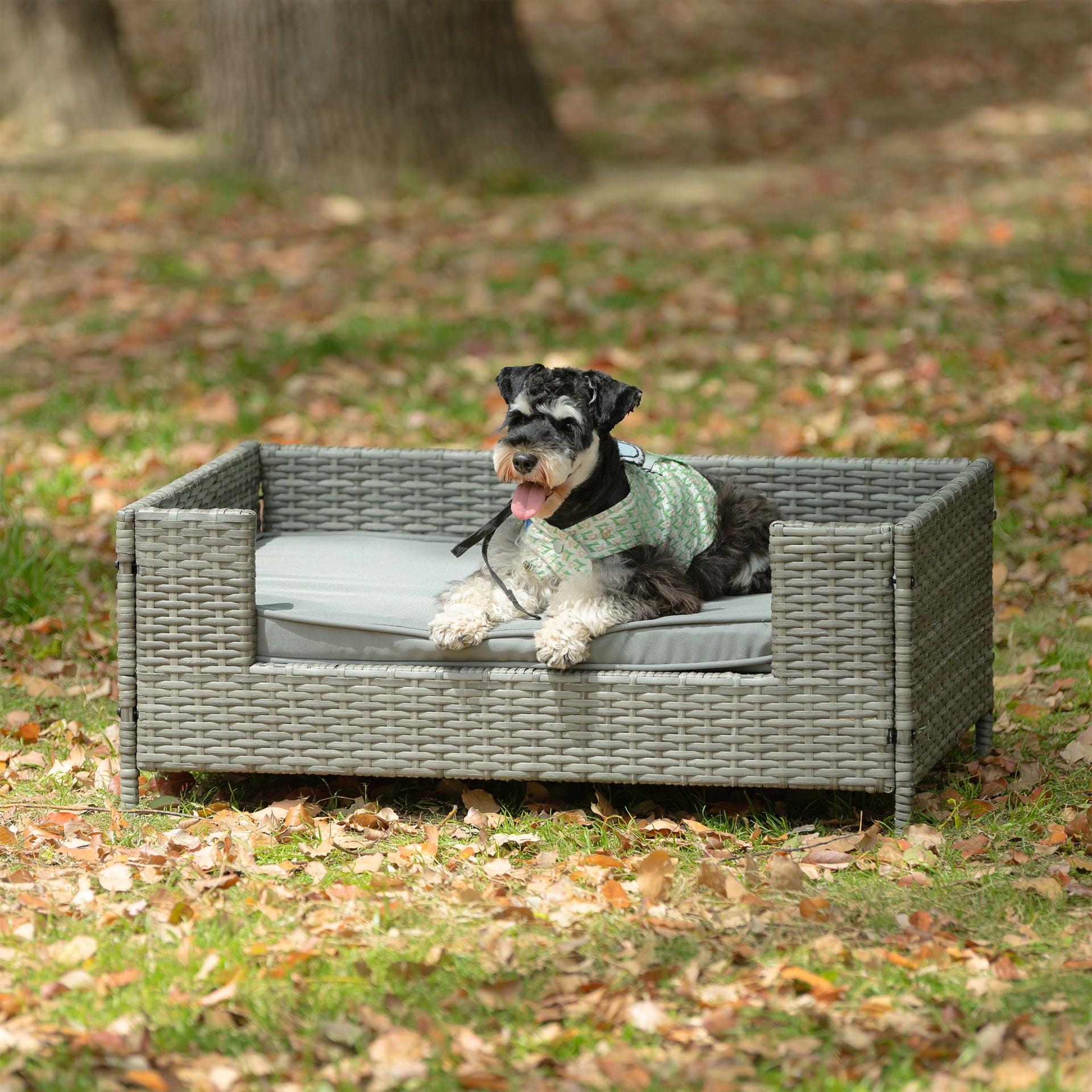 Raised PE Wicker Pet Bed With Cushion